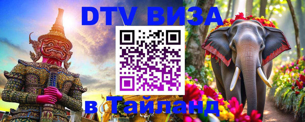 Оформление DTV визы под ключ: стоимость и тарифы, только загранпаспорт - Дамаск 